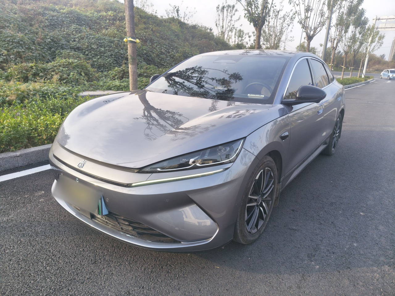 Qin L 2025 EV 545KM Excellence