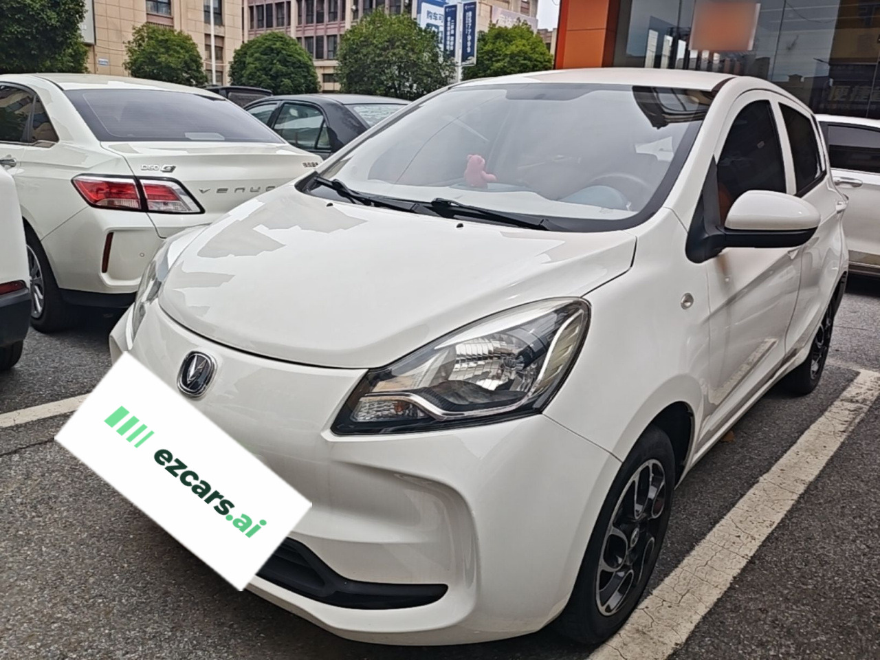 Benni E-Star 2021 LFP 31.18kWh