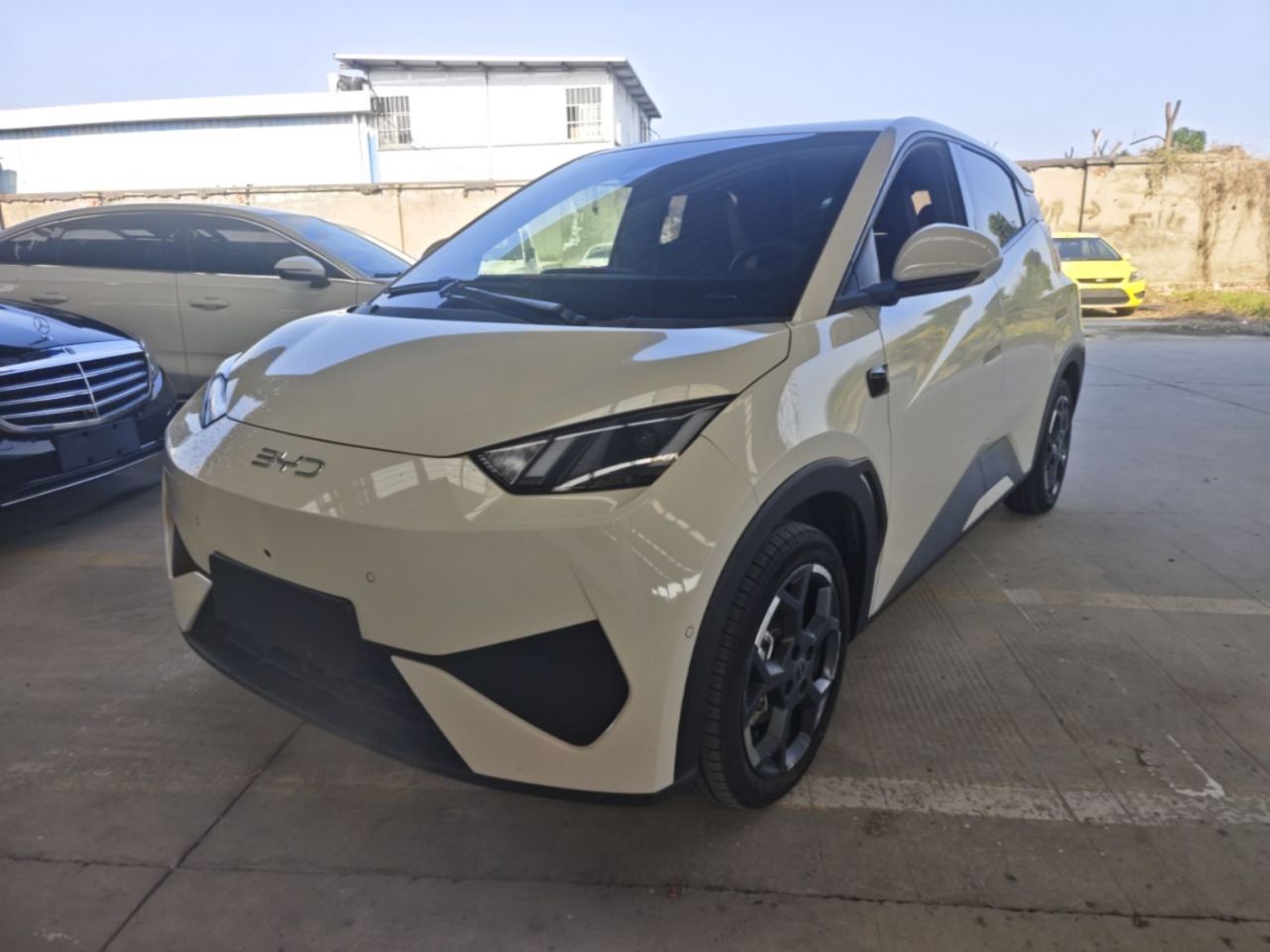 Seagull 2025 ADAS 305km