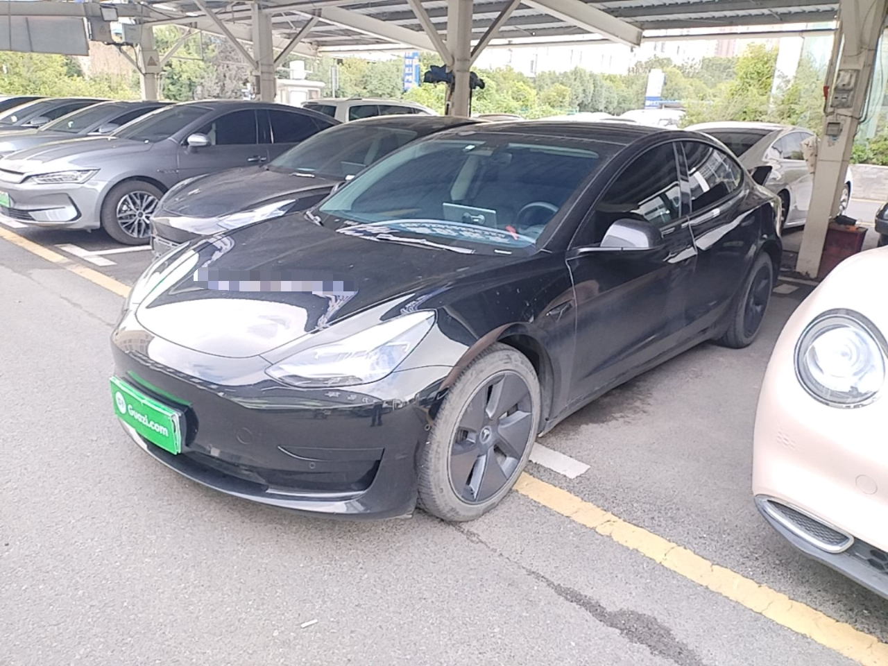 Model 3 2021 Standard Range RWD Upgraded 3D6