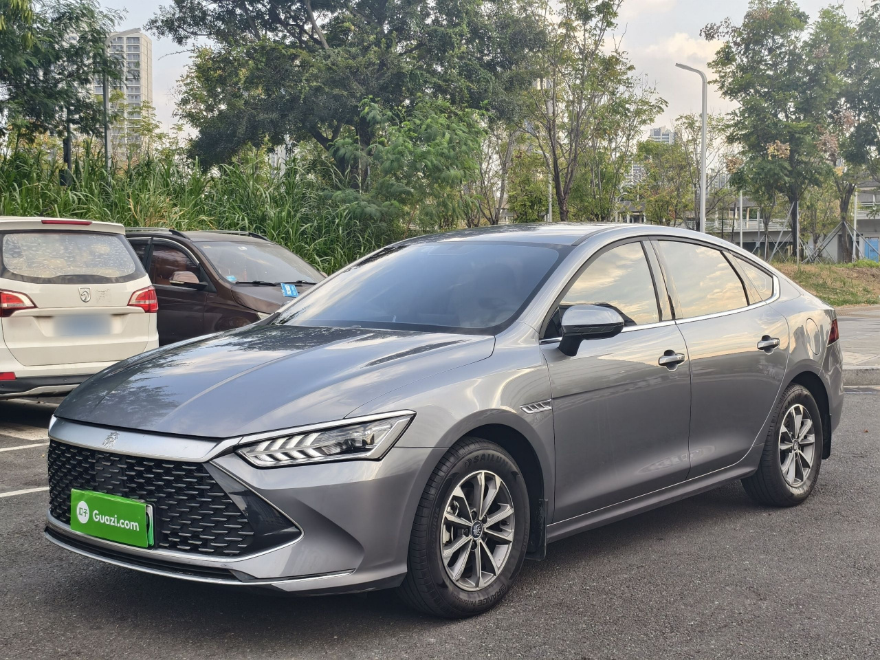 Qin PLUS 2024 Honor DM-i 55KM Leading