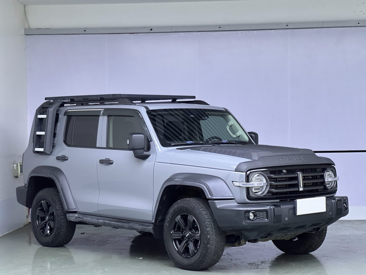 300 2021 Off-road 2.0T Conqueror photo 2