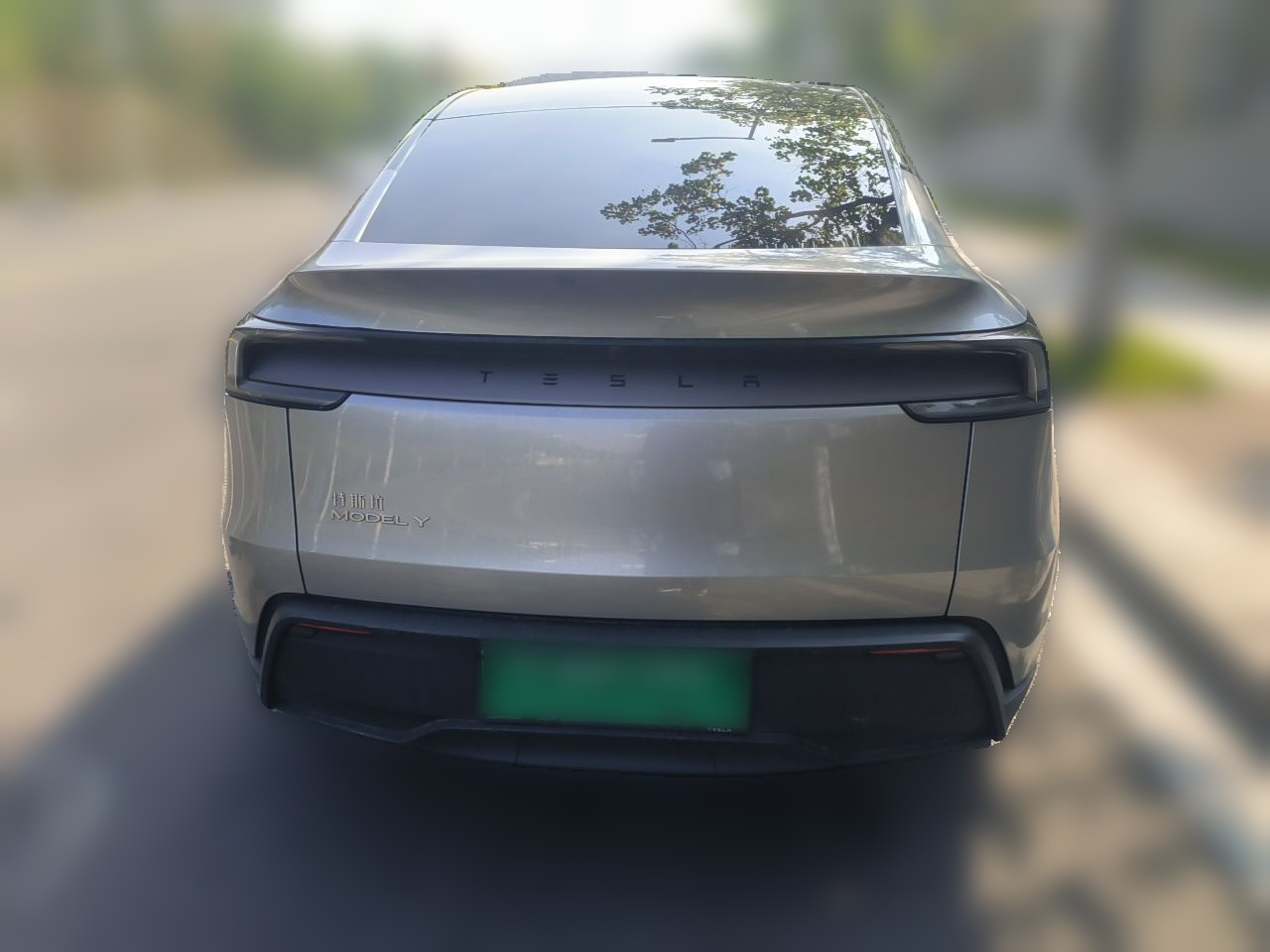 Model Y 2025 RWD photo 3