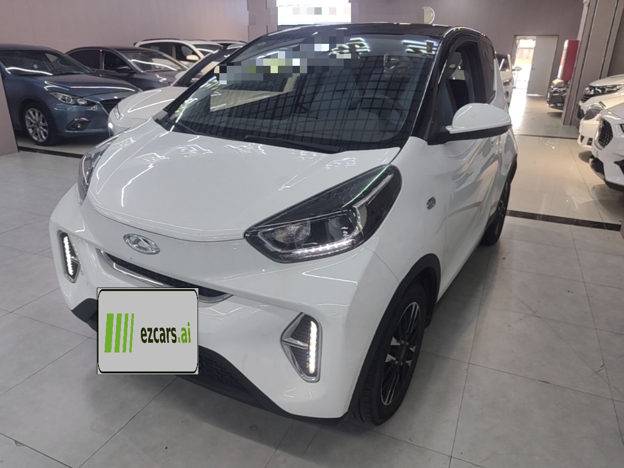 QQ Little Ant 2023 251km LFP