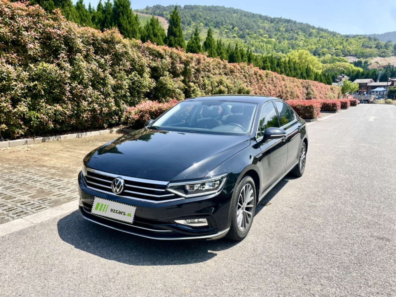 Magotan 2020 330TSI DSG Luxury