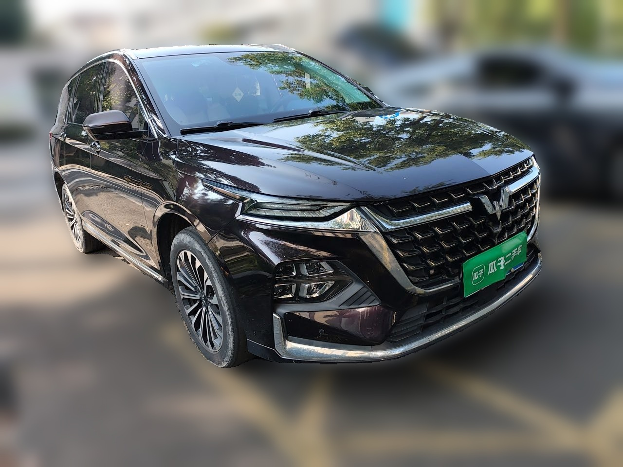 Wuling 2023 2.0L DHT photo 3