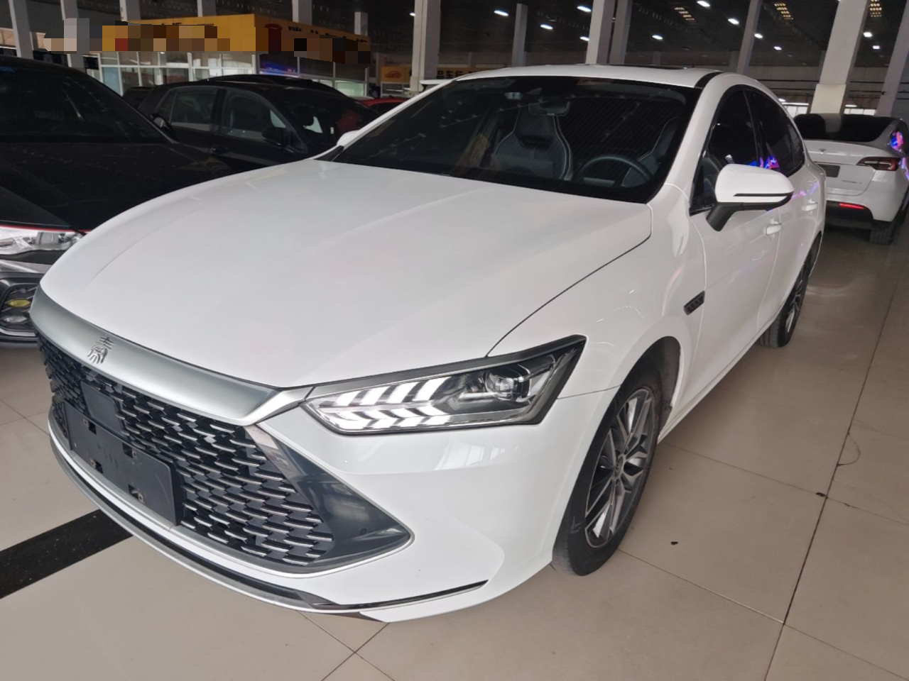 Qin PLUS 2021 DM-i 120KM Premium