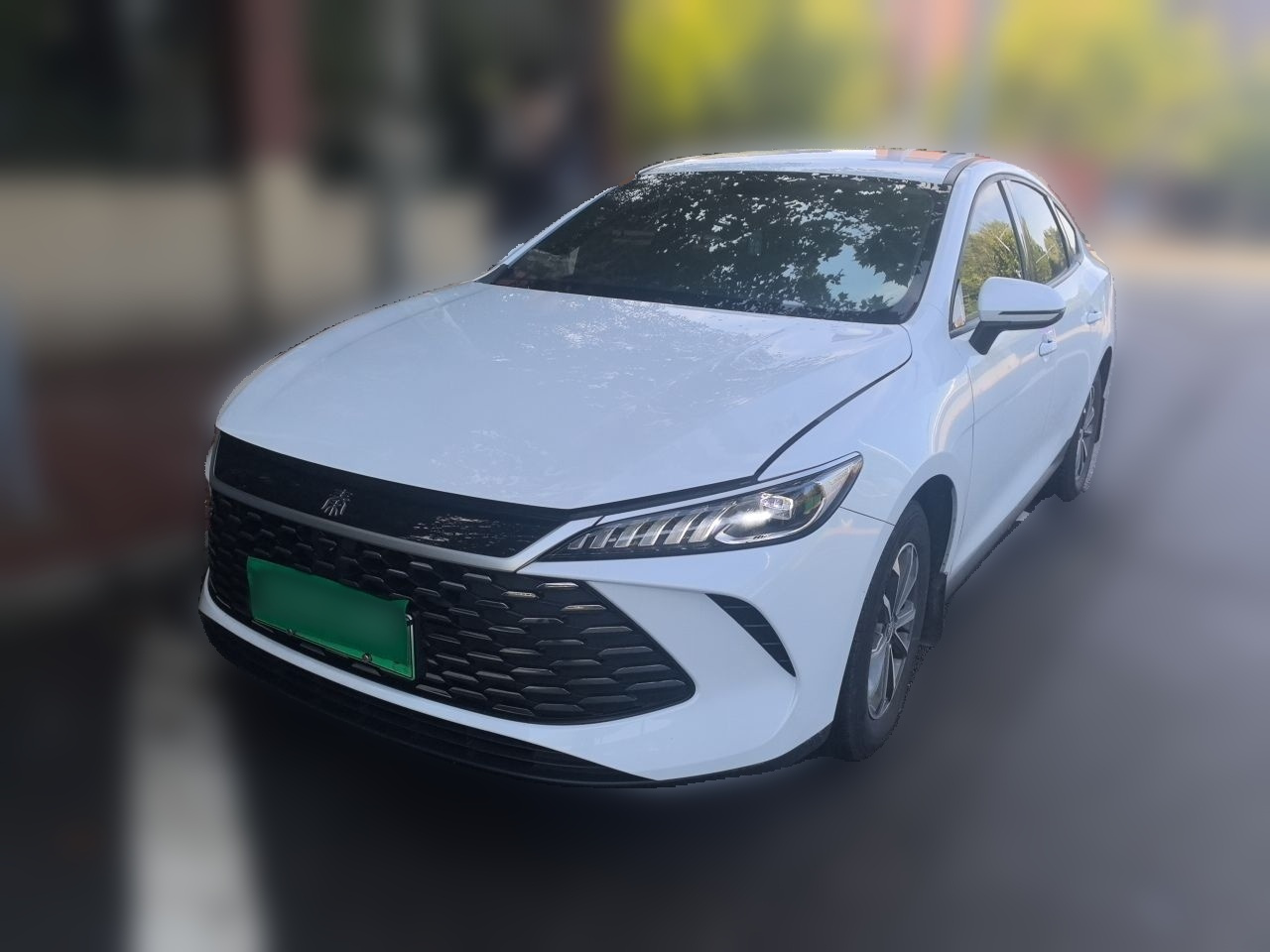 Qin PLUS 2025 DM-i ADAS 55KM Leading