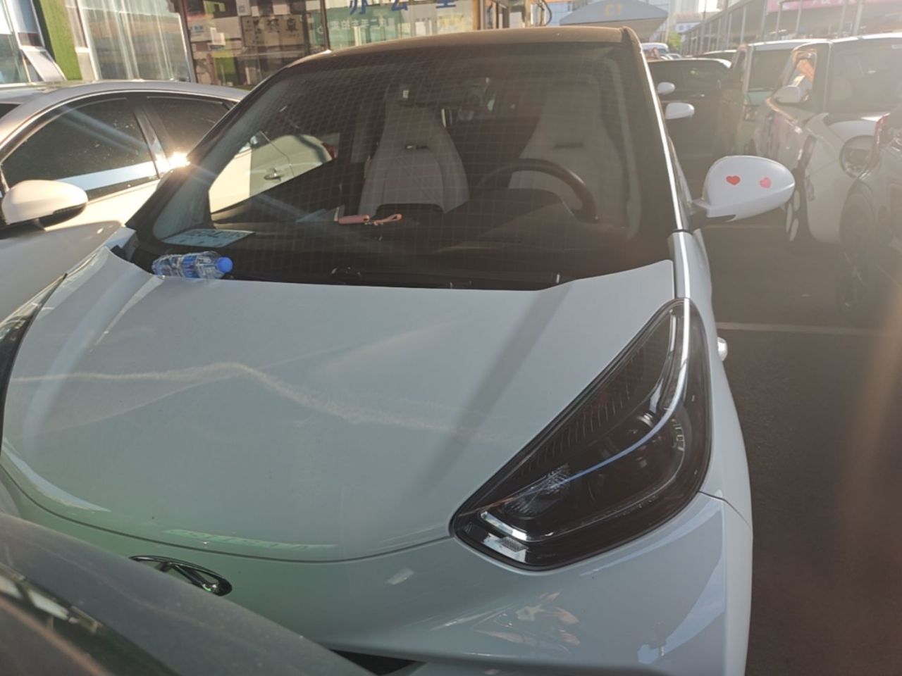 QQ Little Ant 2021 20 NCM 301km photo 2