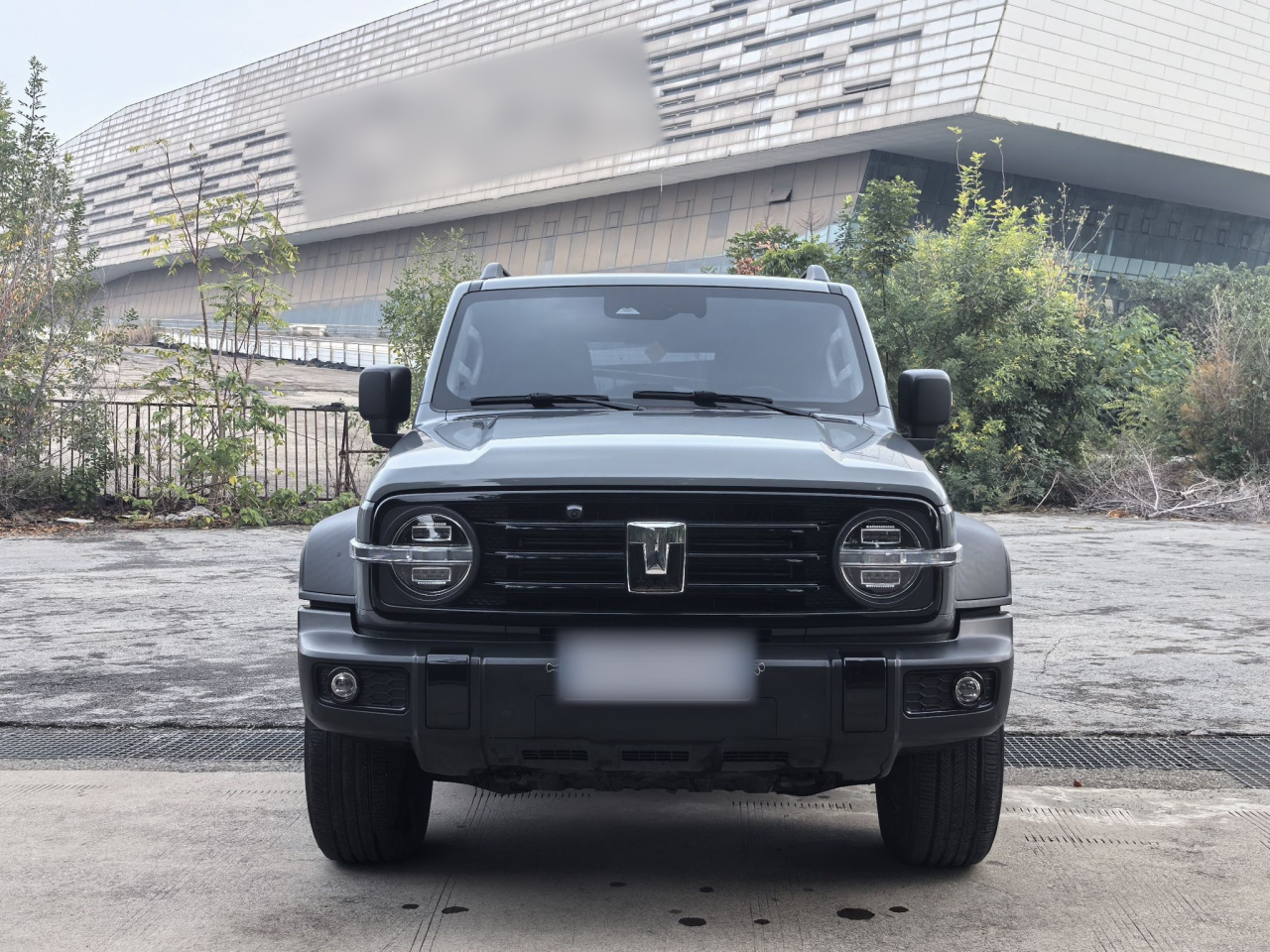 300 2023 Off-road 2.0T Conqueror photo 2