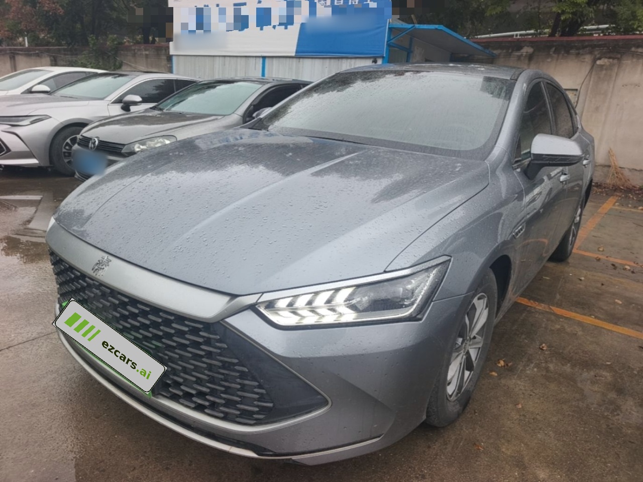 Qin PLUS 2024 Honor DM-i 55KM Leading