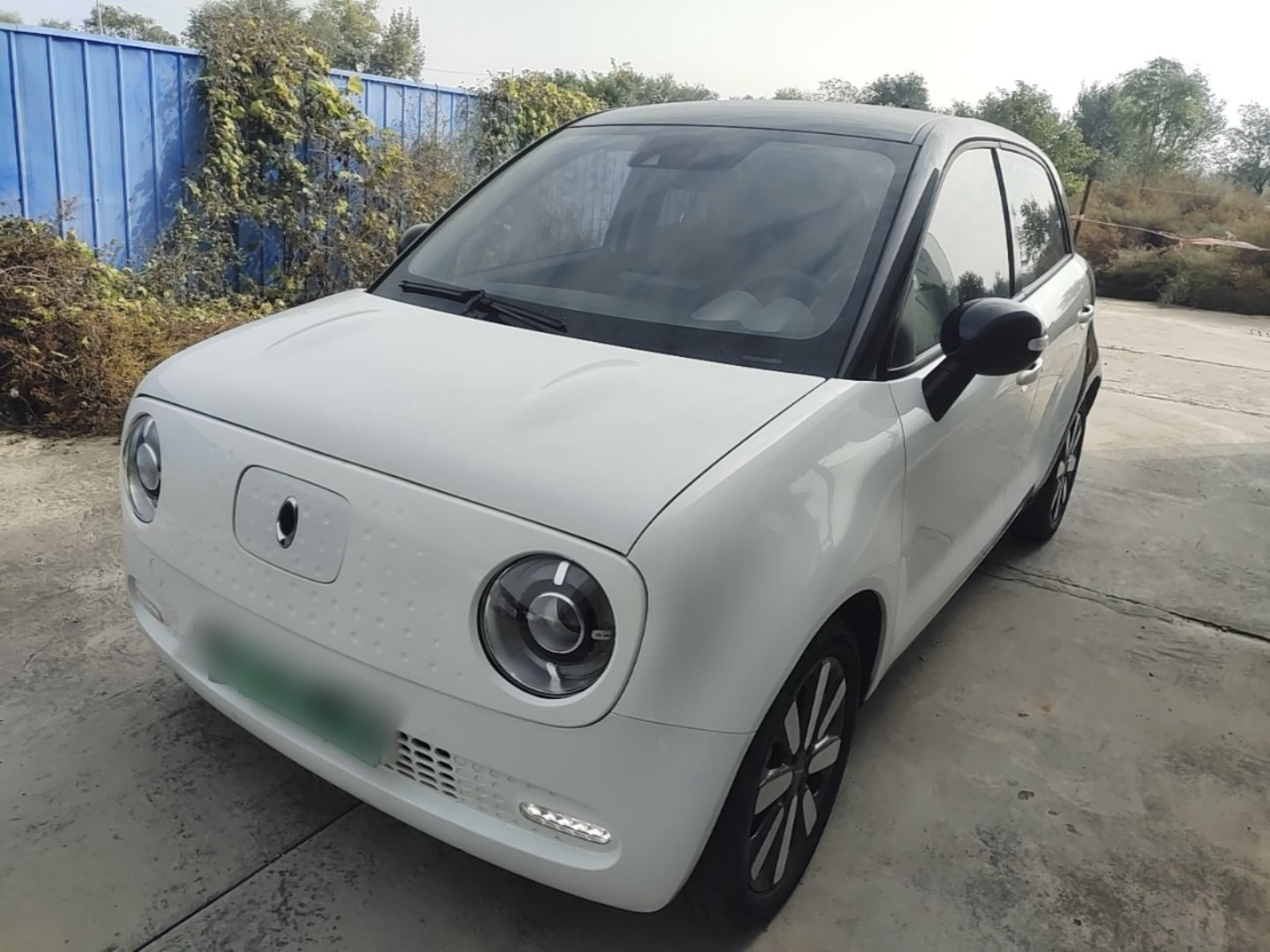 2019 351km