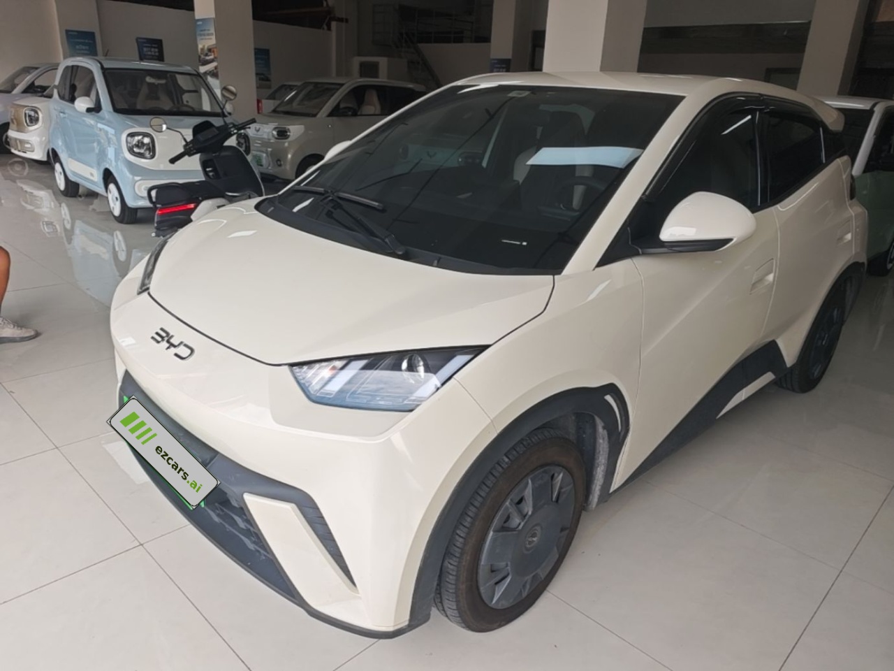 Seagull 2025 305km