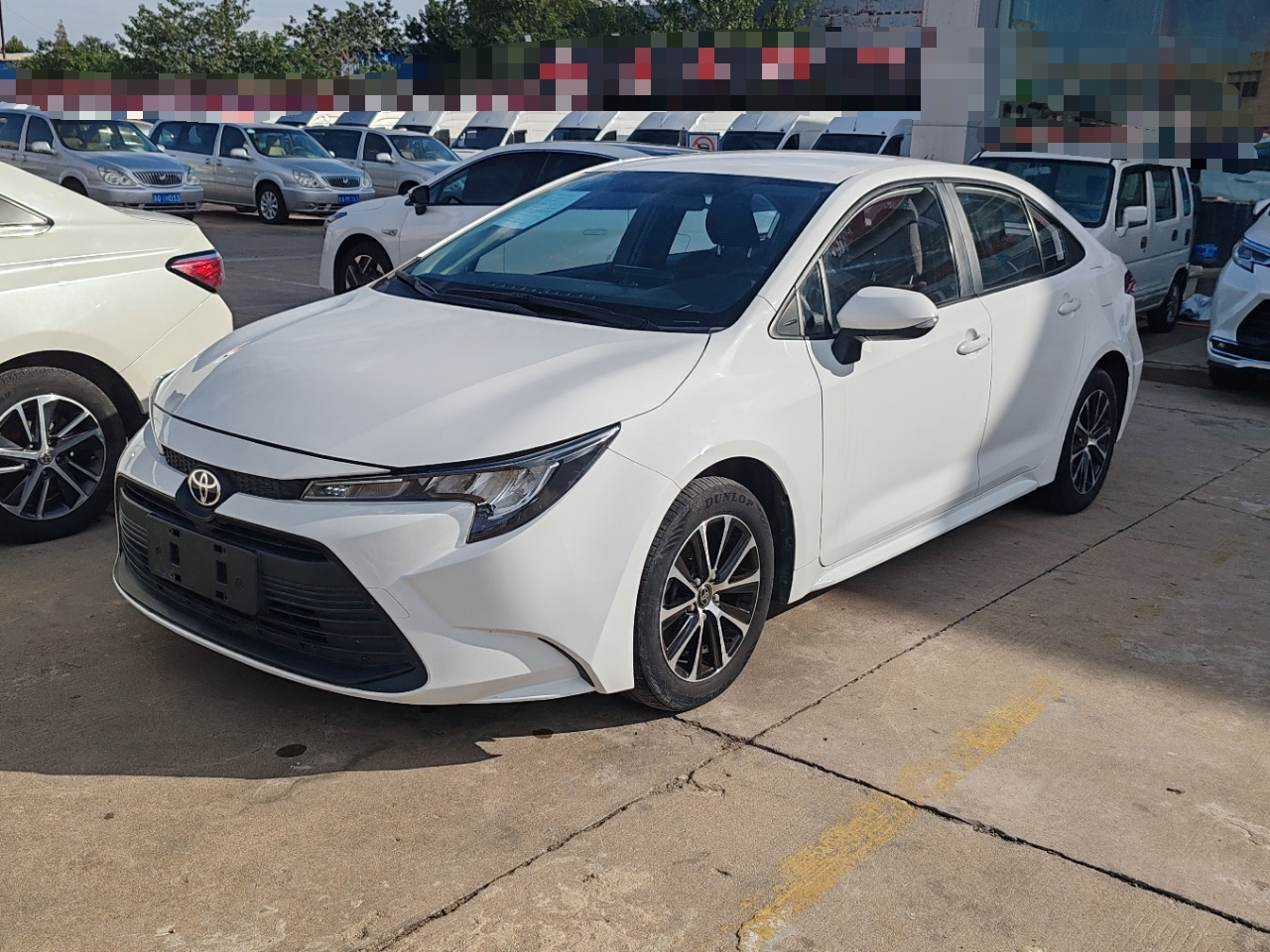 Levin 2023 TNGA 1.5L CVT Progressive