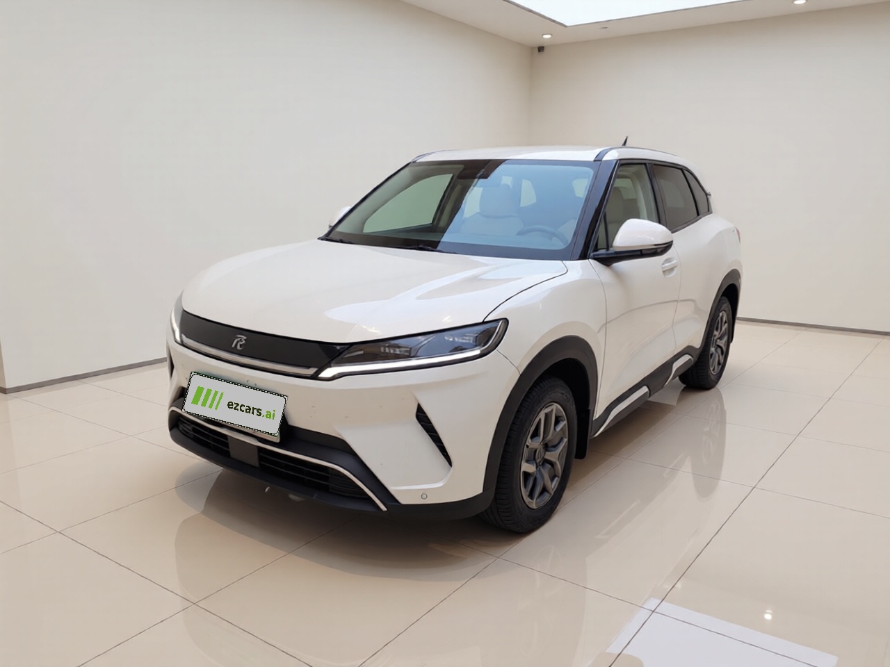 Yuan UP 2025 301KM Pilot