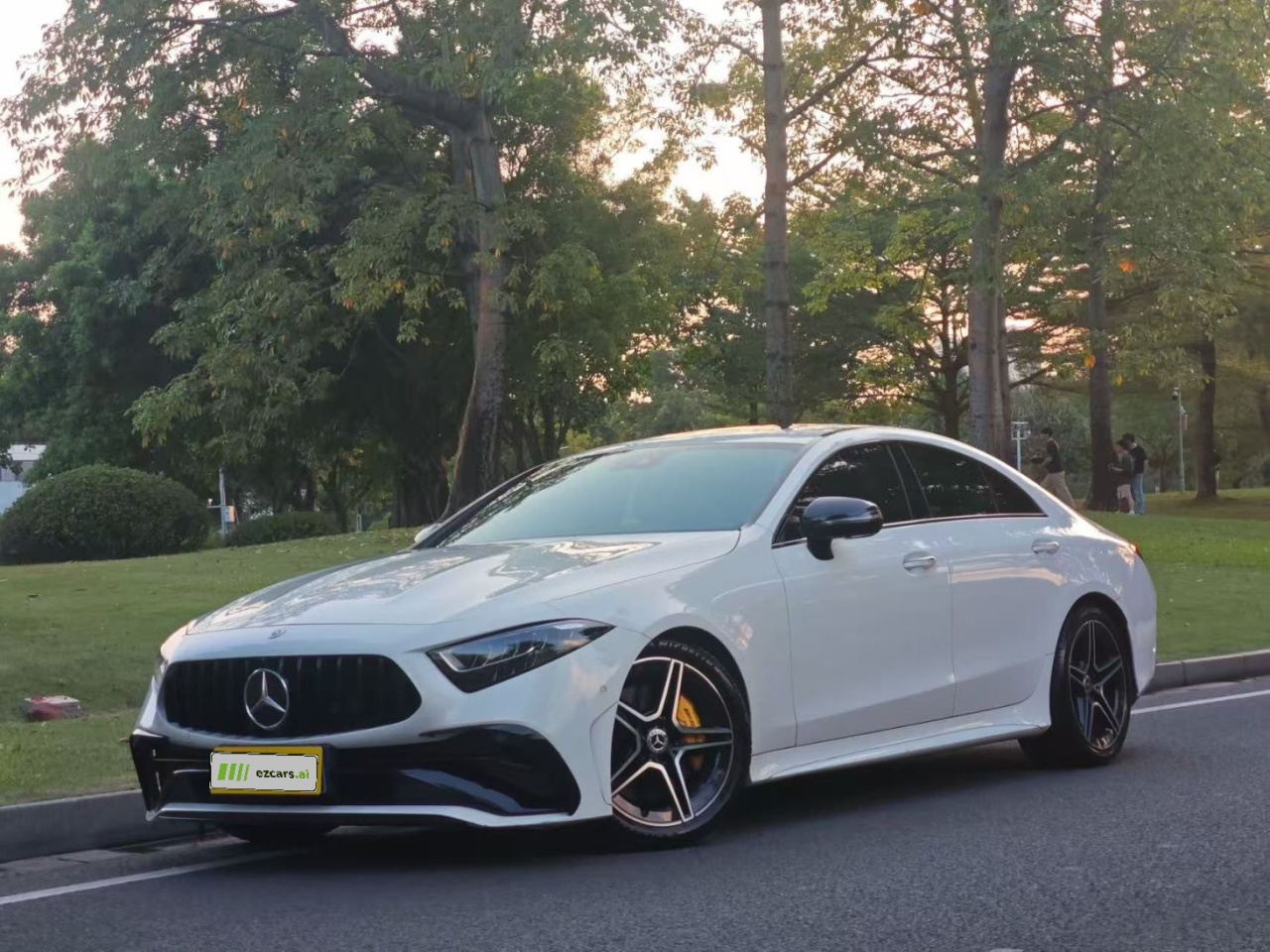 CLS 2022 CLS 300 Luxury