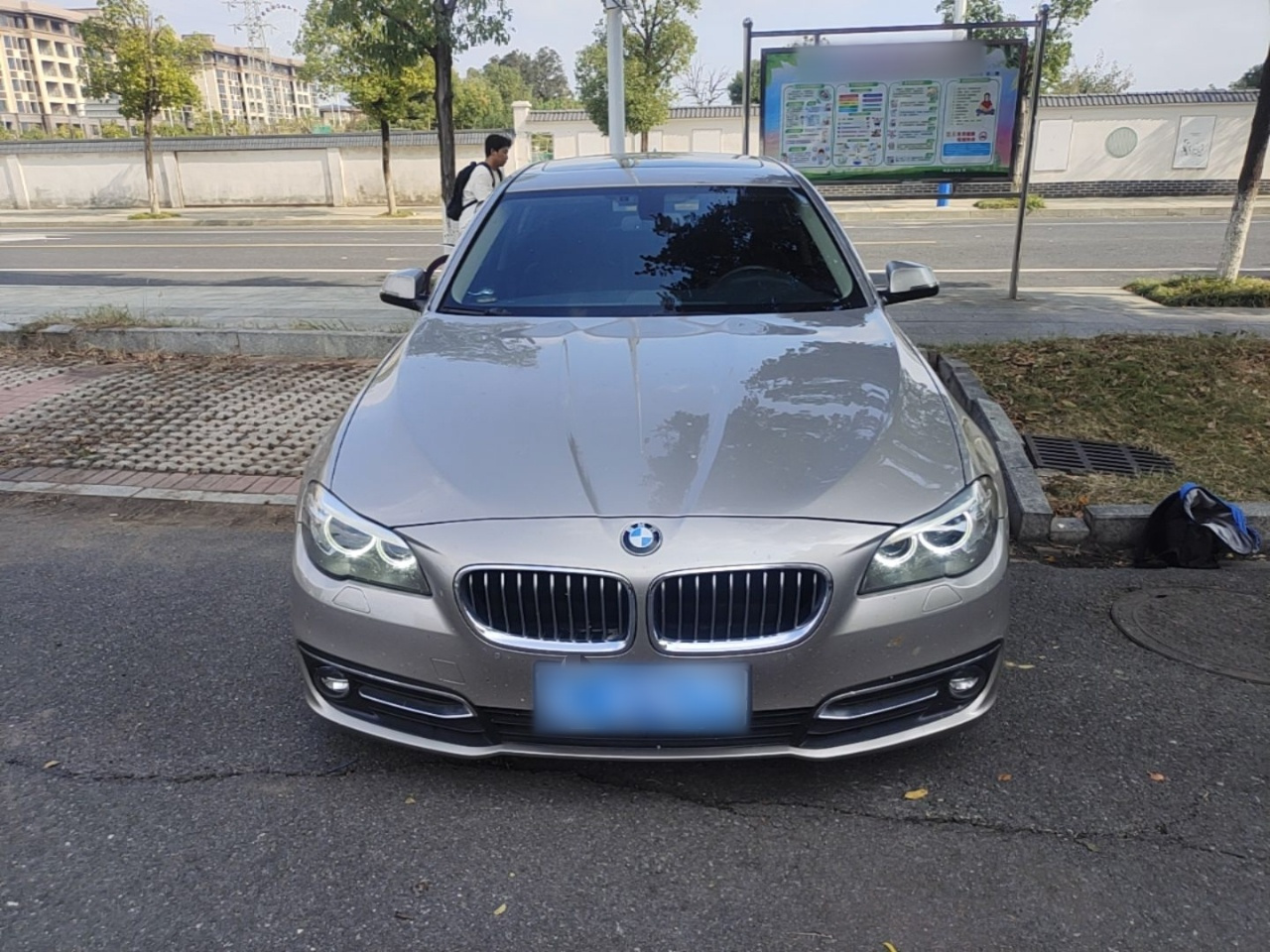 5 Series 2017 525Li Luxury Design Package photo 2