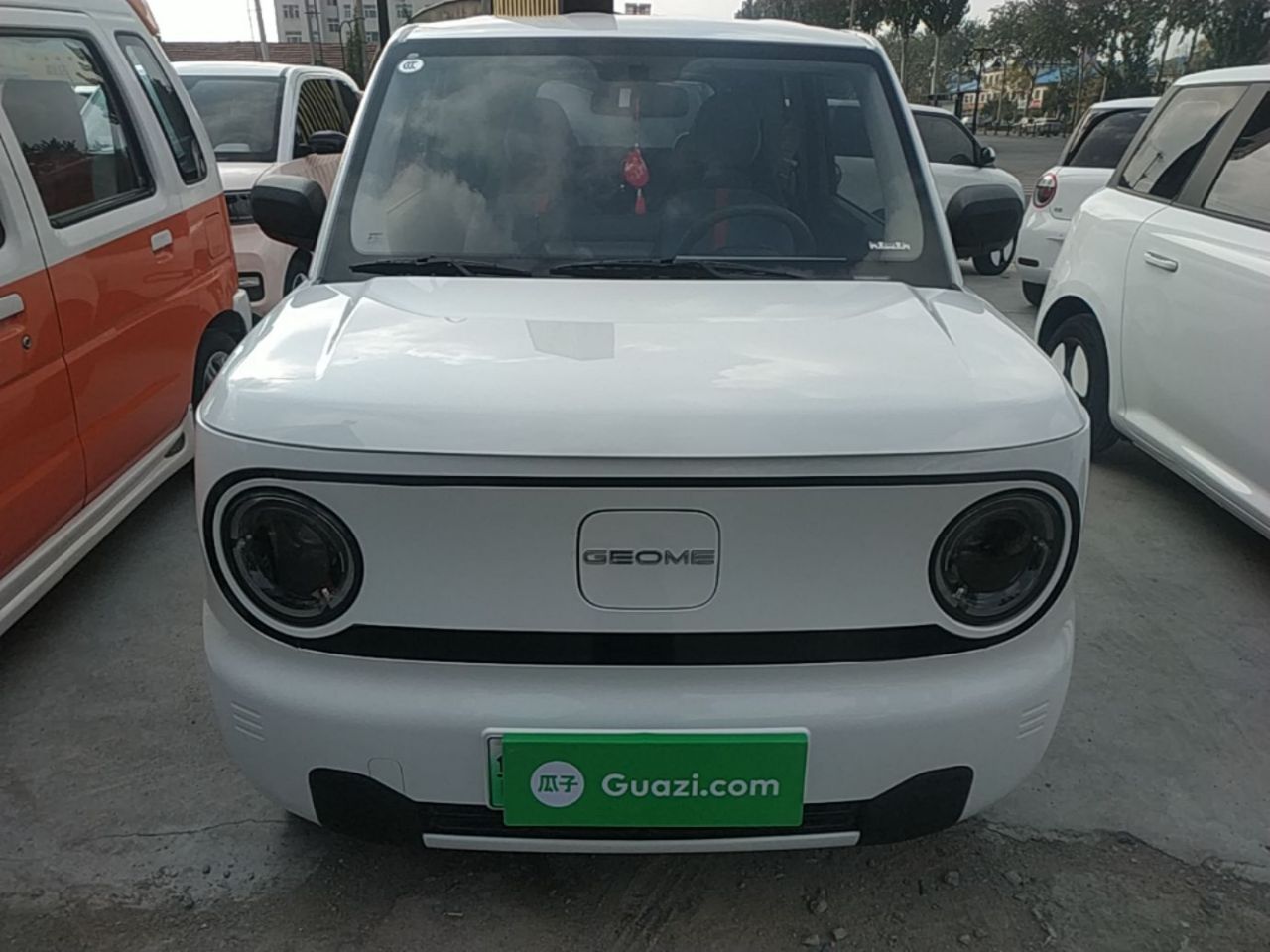 2023 Panda mini 200km Endurance Bear photo 2