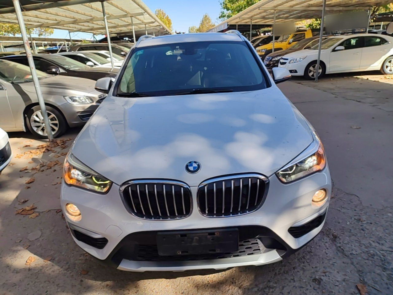 X1 2019 xDrive20Li Exclusive photo 2