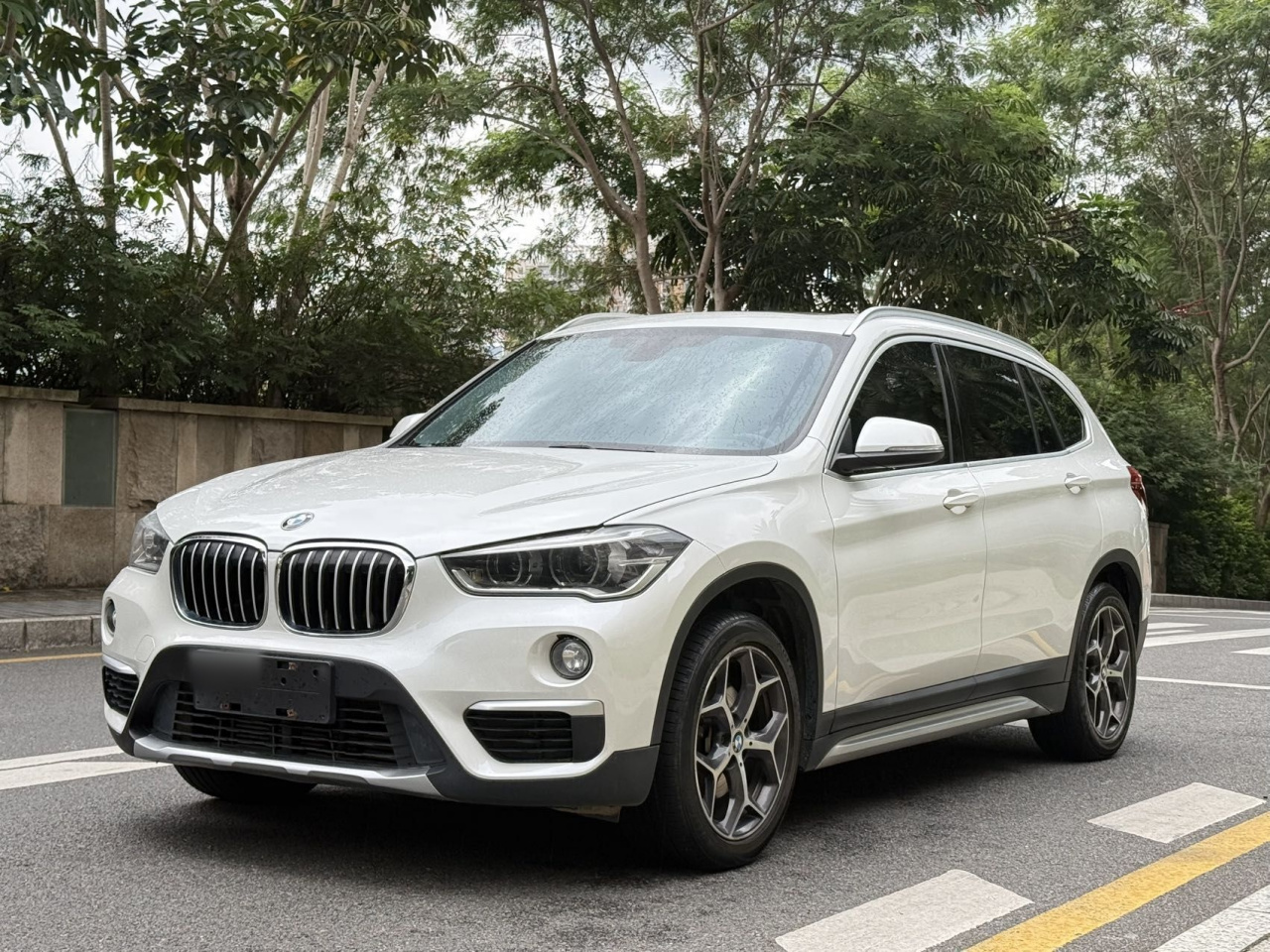 X1 2019 sDrive18Li Exclusive