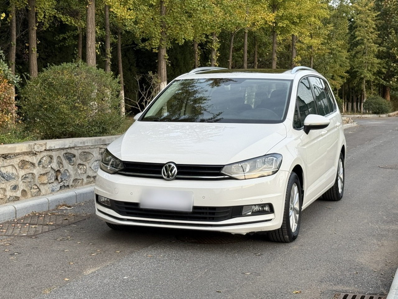 2018 L 280TSI DSG Comfort 7-Seater China VI