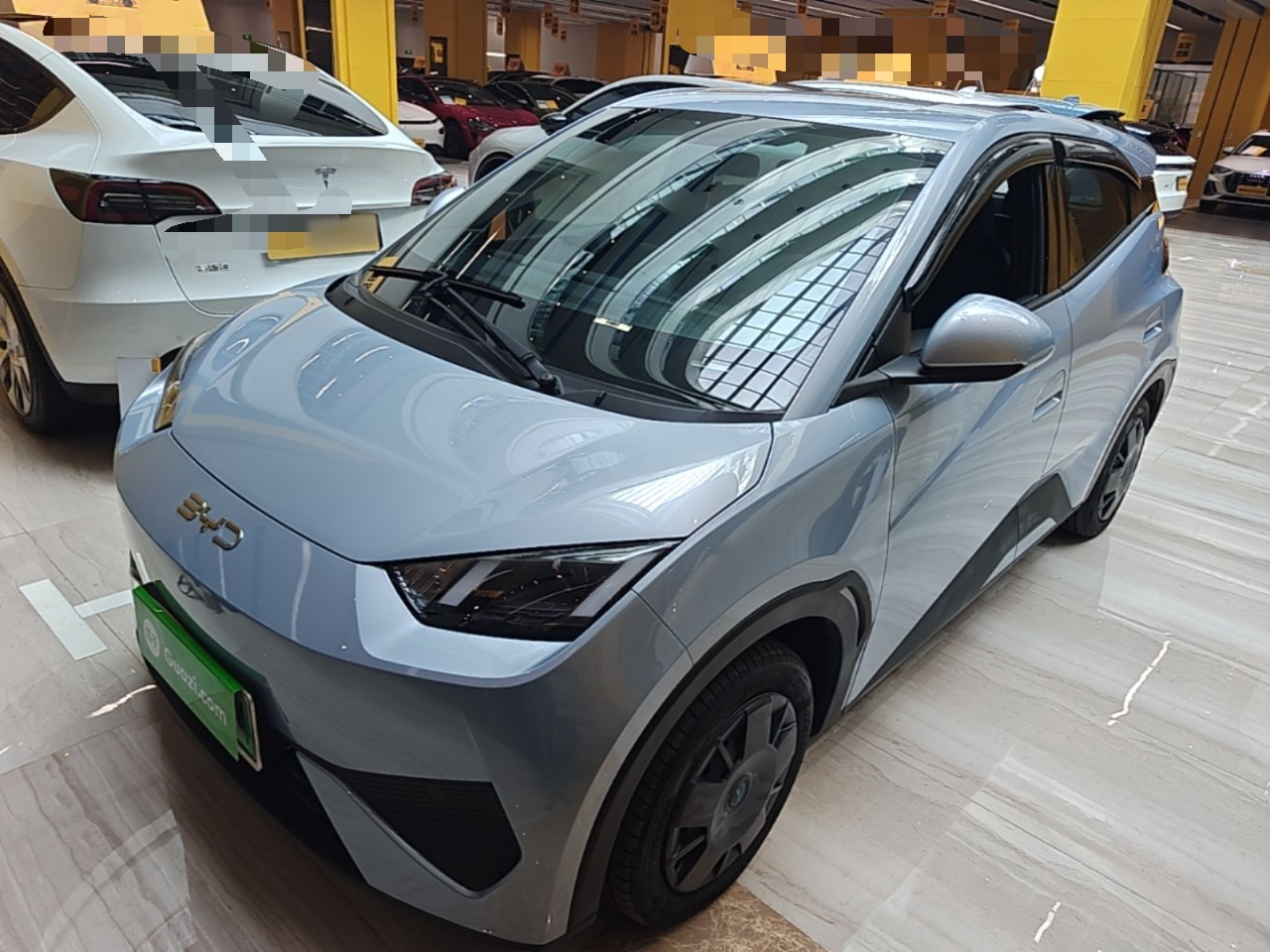 Seagull 2025 ADAS 305km