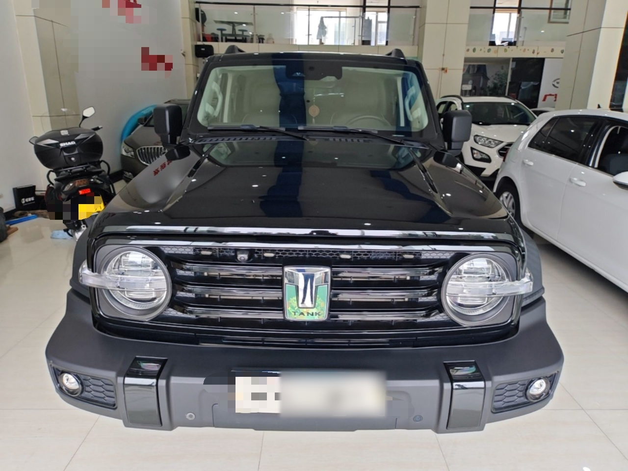 300 2021 Off-road 2.0T Conqueror photo 2