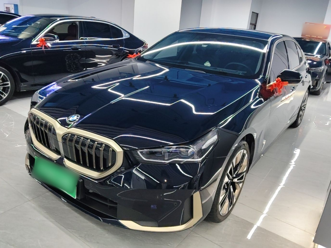 5 Series 2024 530Li Exclusive Luxury