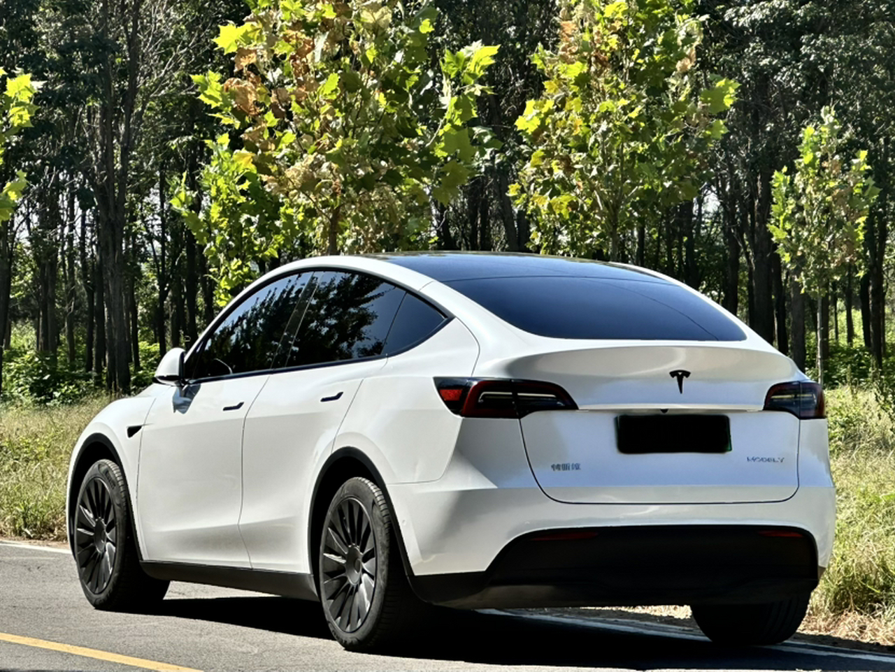 Model Y 2022 RWD photo 3
