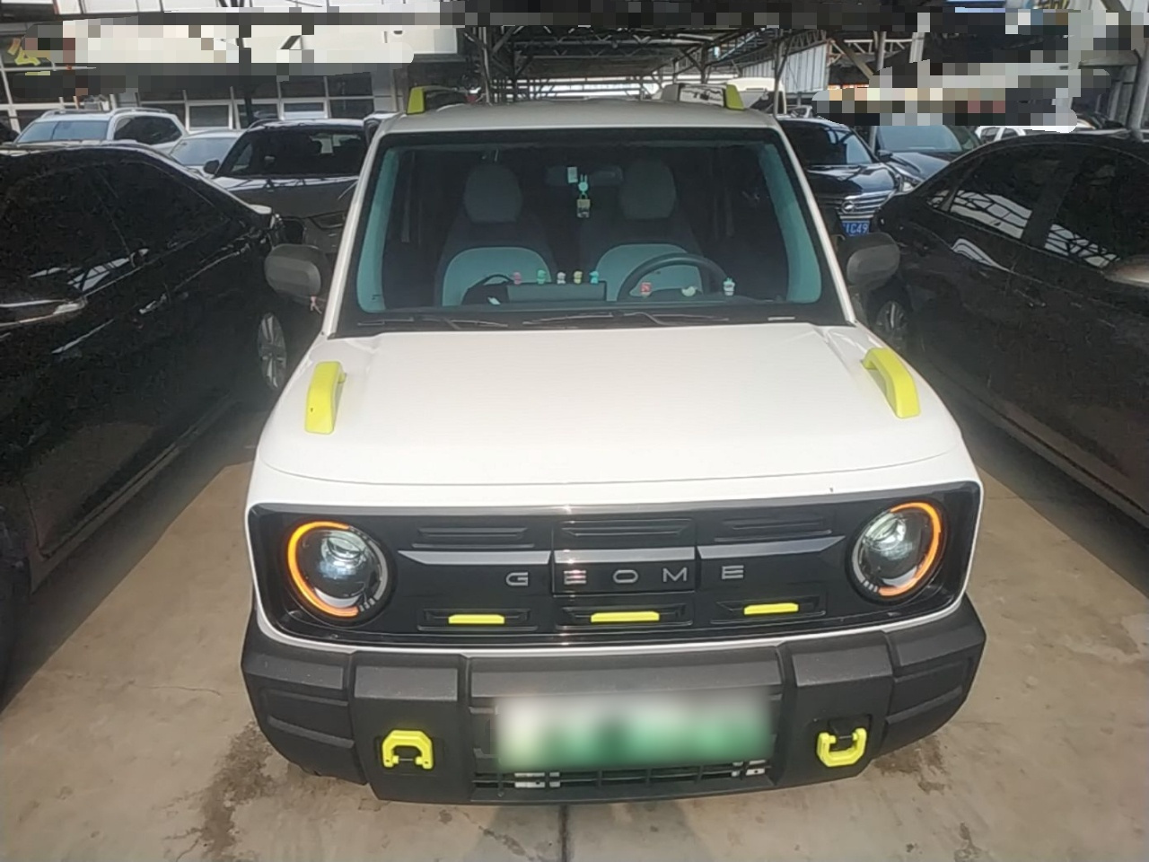 2025 210km Panda photo 2
