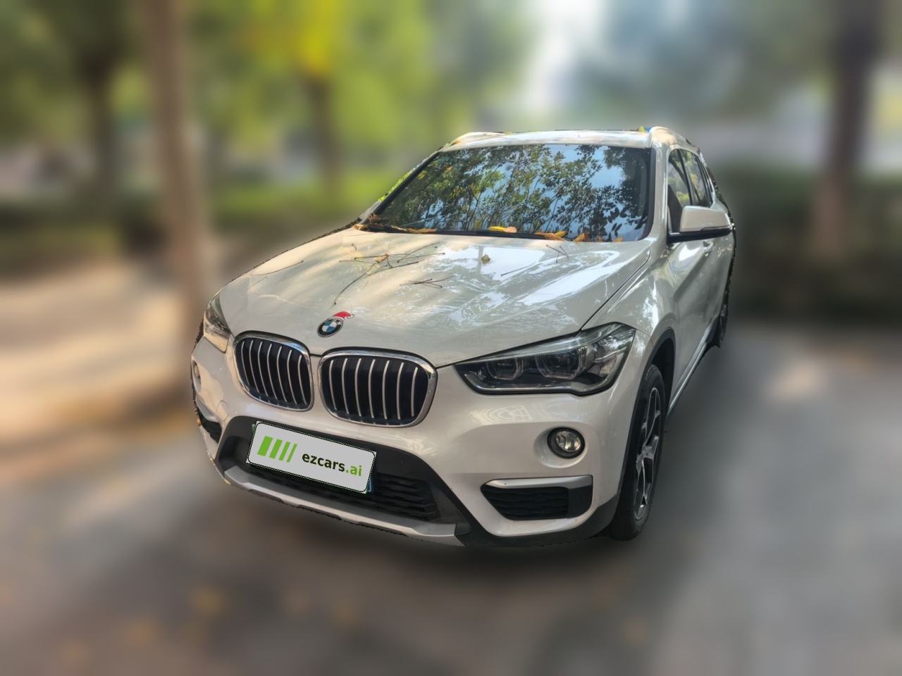 X1 2018 sDrive18Li Exclusive