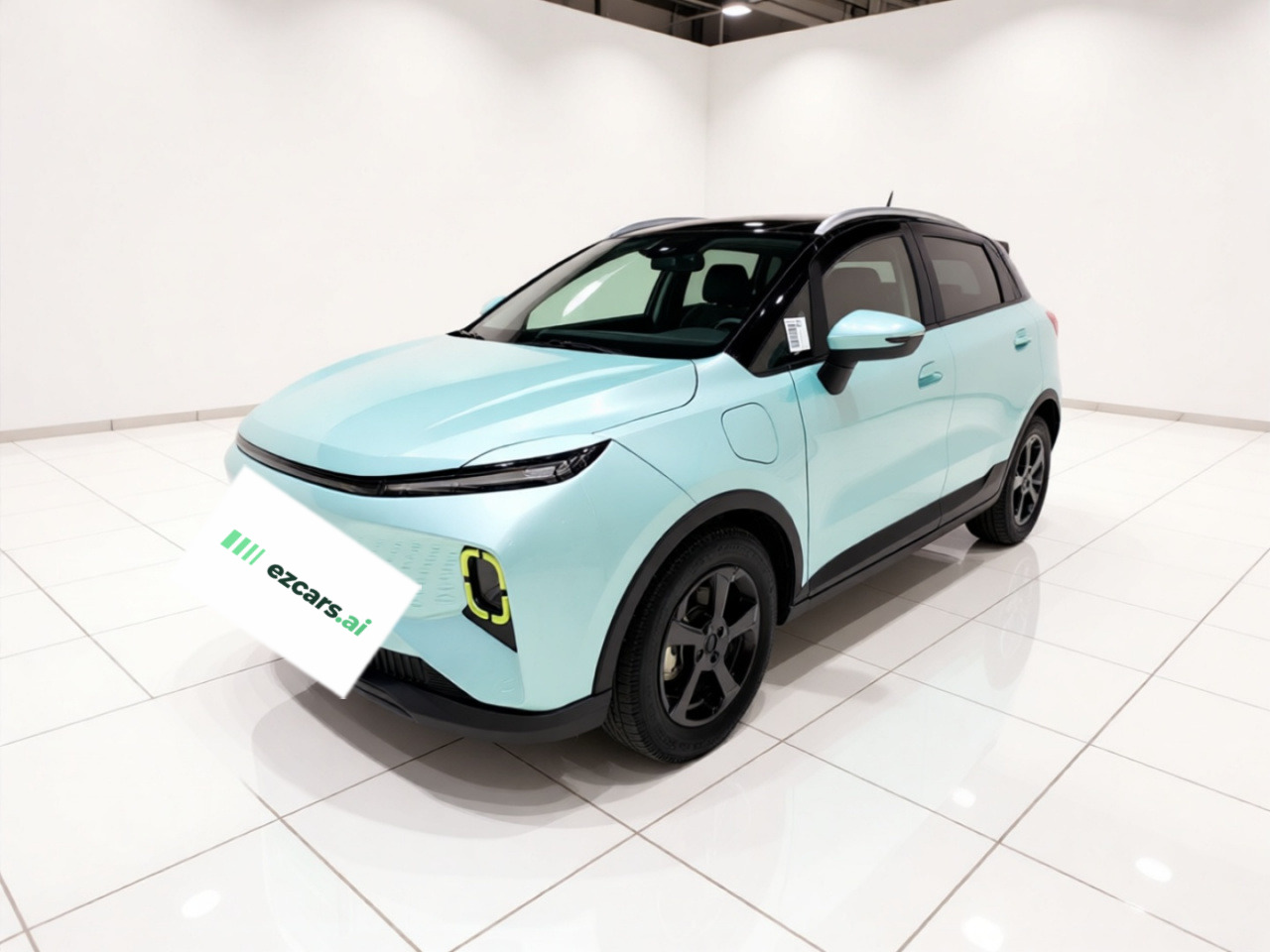 E Firefly 2022 401KM 4-Seater