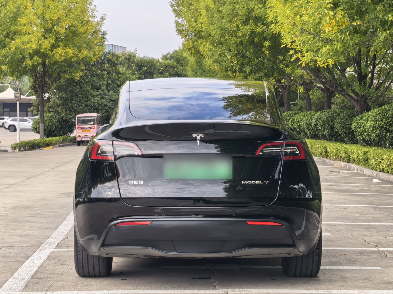 Model Y 2021 Standard Range RWD photo 5