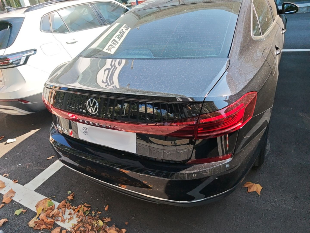 Passat 2026 330TSI Elite photo 5