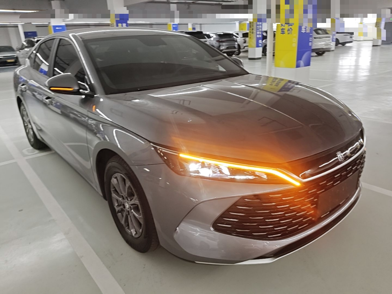 Qin L 2024 DM-i 80KM Leading photo 3