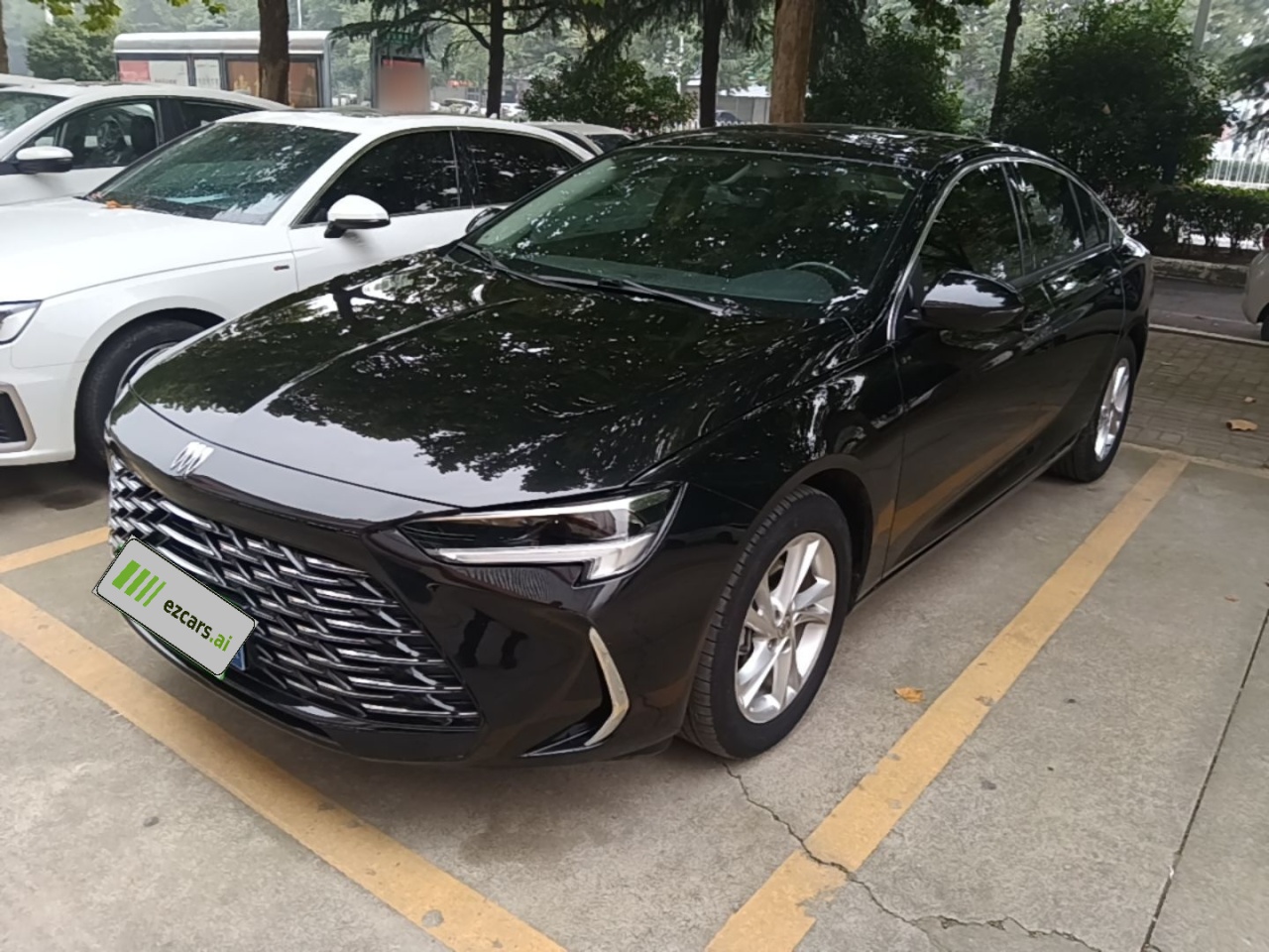 Regal 2024 25T