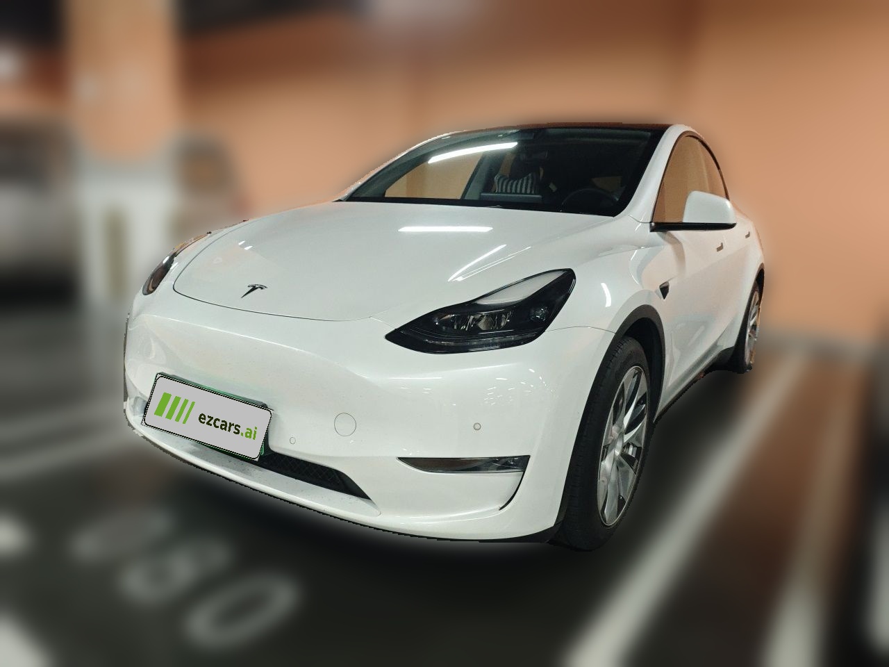 Model Y 2021 Standard Range RWD
