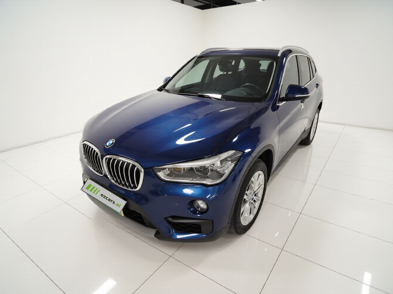 X1 2019 sDrive20Li Leading