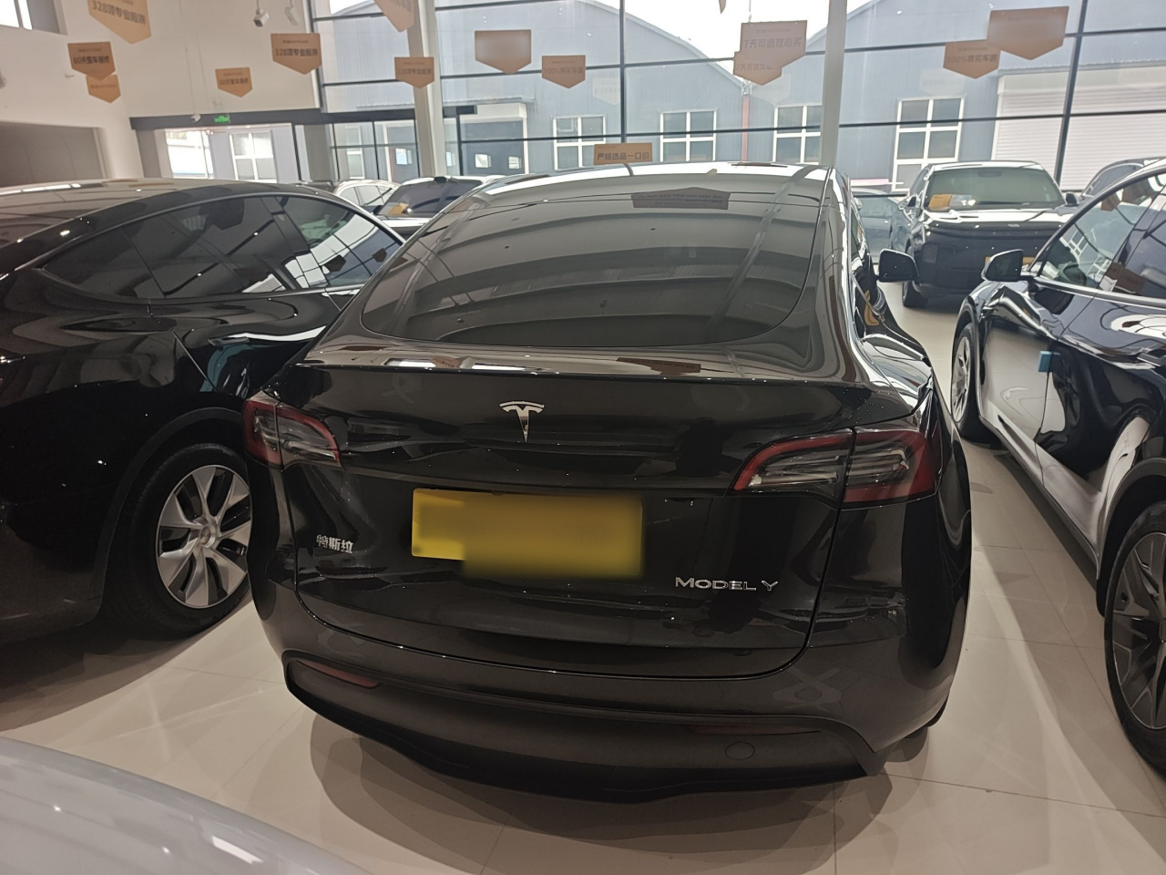 Model Y 2024 RWD photo 5