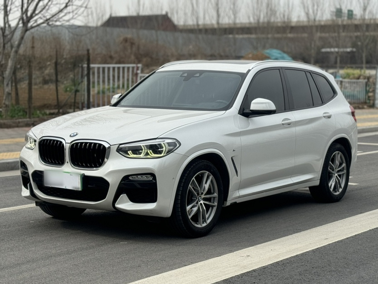 X3 2018 xDrive30i Leading M Sport Package China V