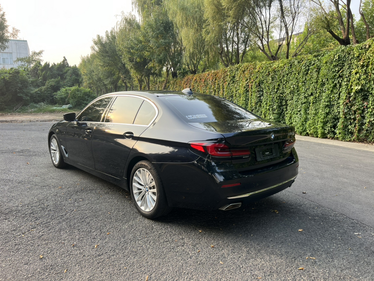 5 Series EV 2021 535Le Luxury photo 3