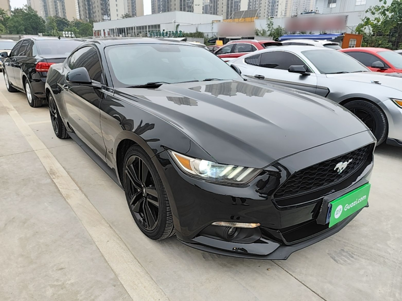 Mustang 2015 2.3T Performance photo 3