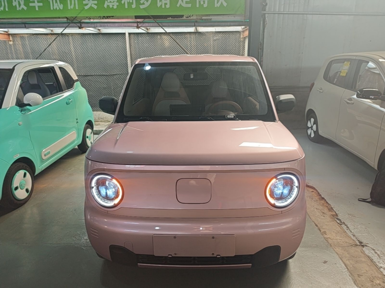 2024 Panda mini 200km Endurance Bear photo 2