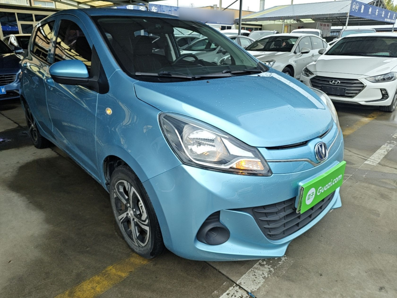 Benni E-Star 2021 NCM photo 3