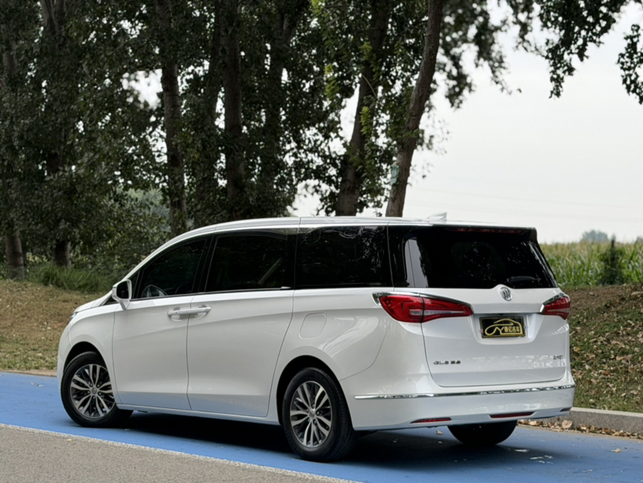 GL8 2017 ES 28T Luxury China V photo 4