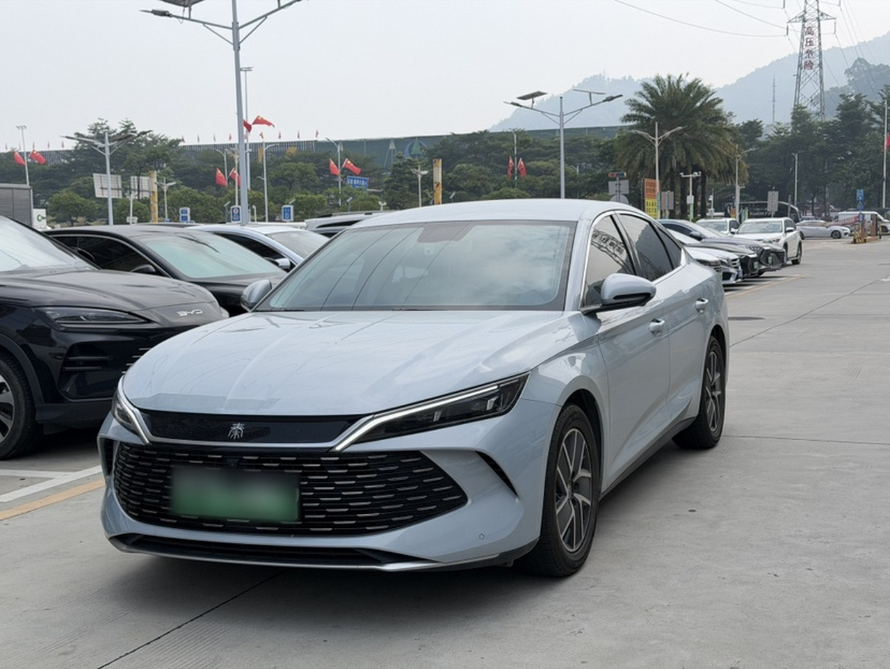 Qin L 2024 DM-i 80KM