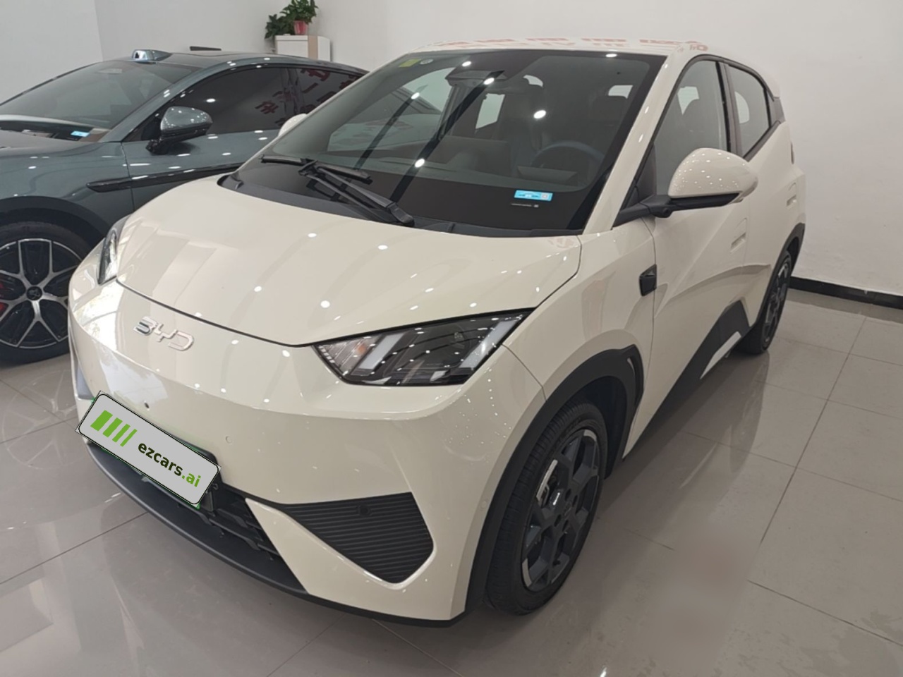 Seagull 2025 ADAS 305km
