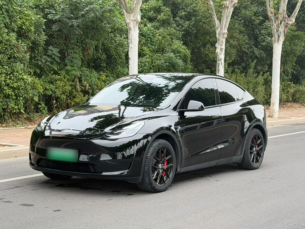 Model Y 2023 RWD