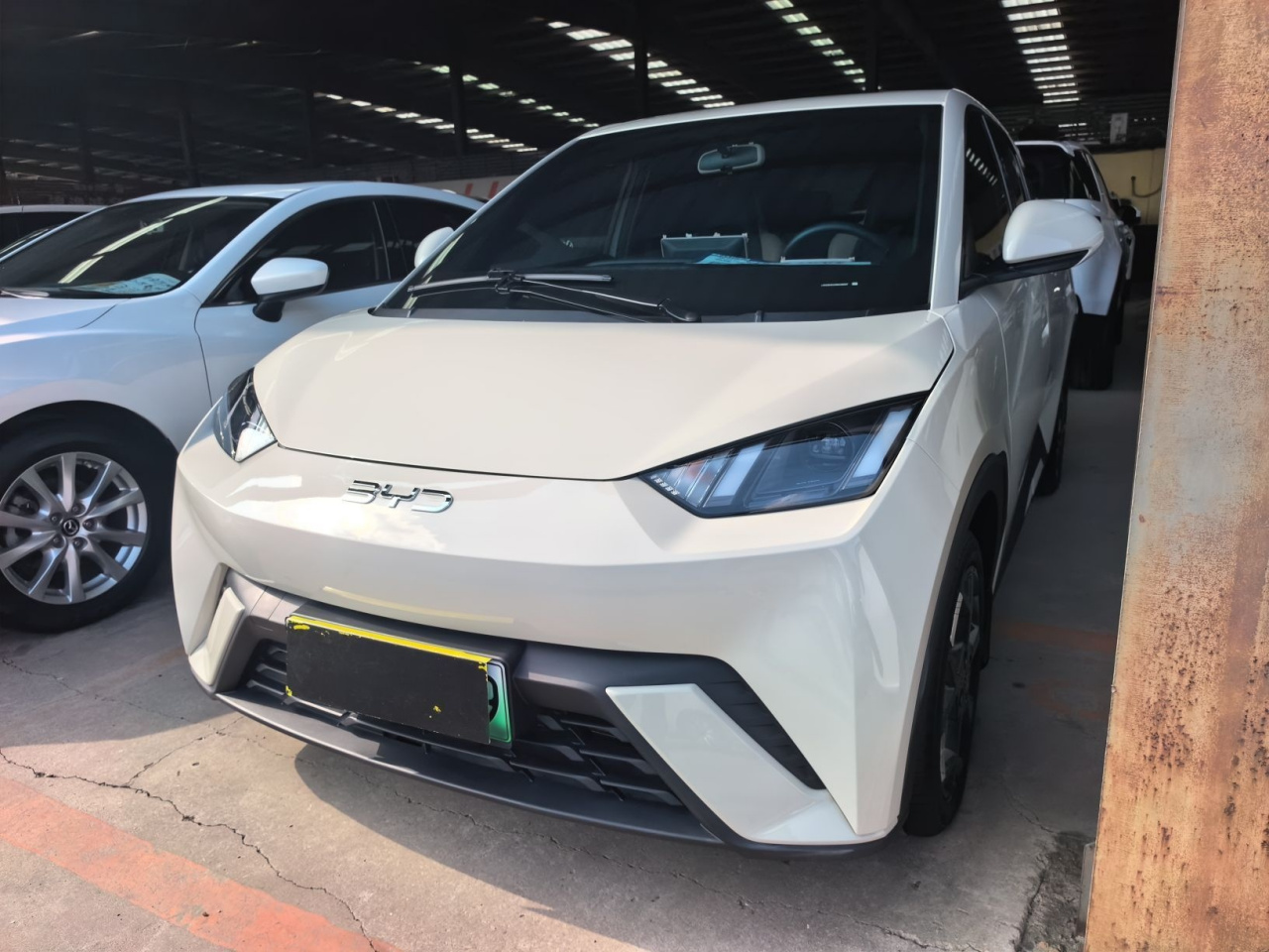 Seagull 2025 305km