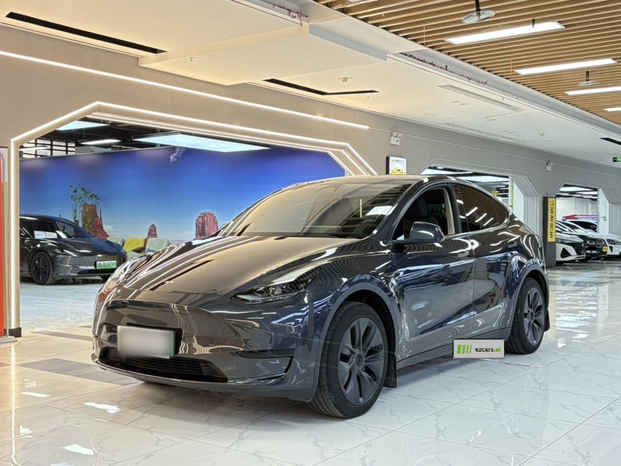 Model Y 2024 RWD